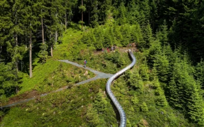 Abenteuer pur beim Rutschenweg