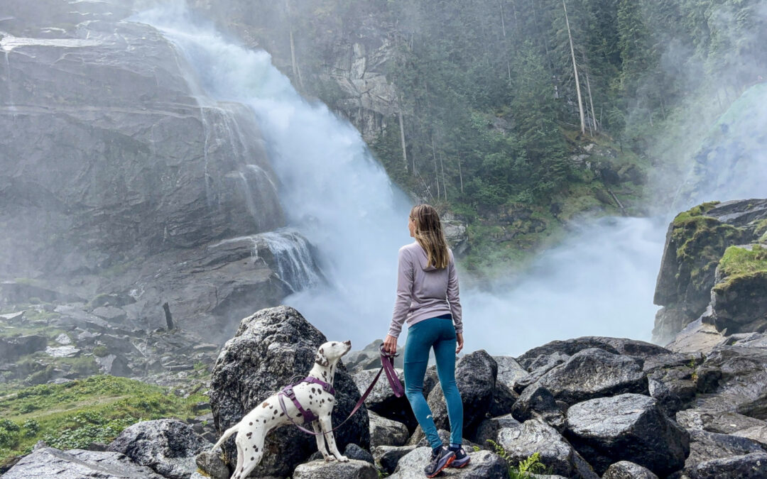 Unvergesslicher Urlaub mit Hund