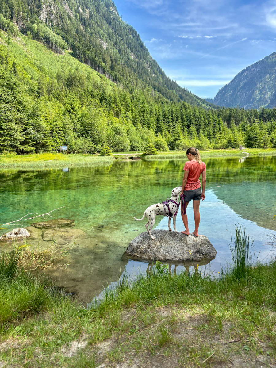 Ein Erlebnis für die ganze Familie im Salzburgerland